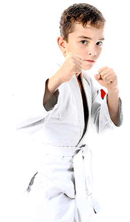Junior martial arts